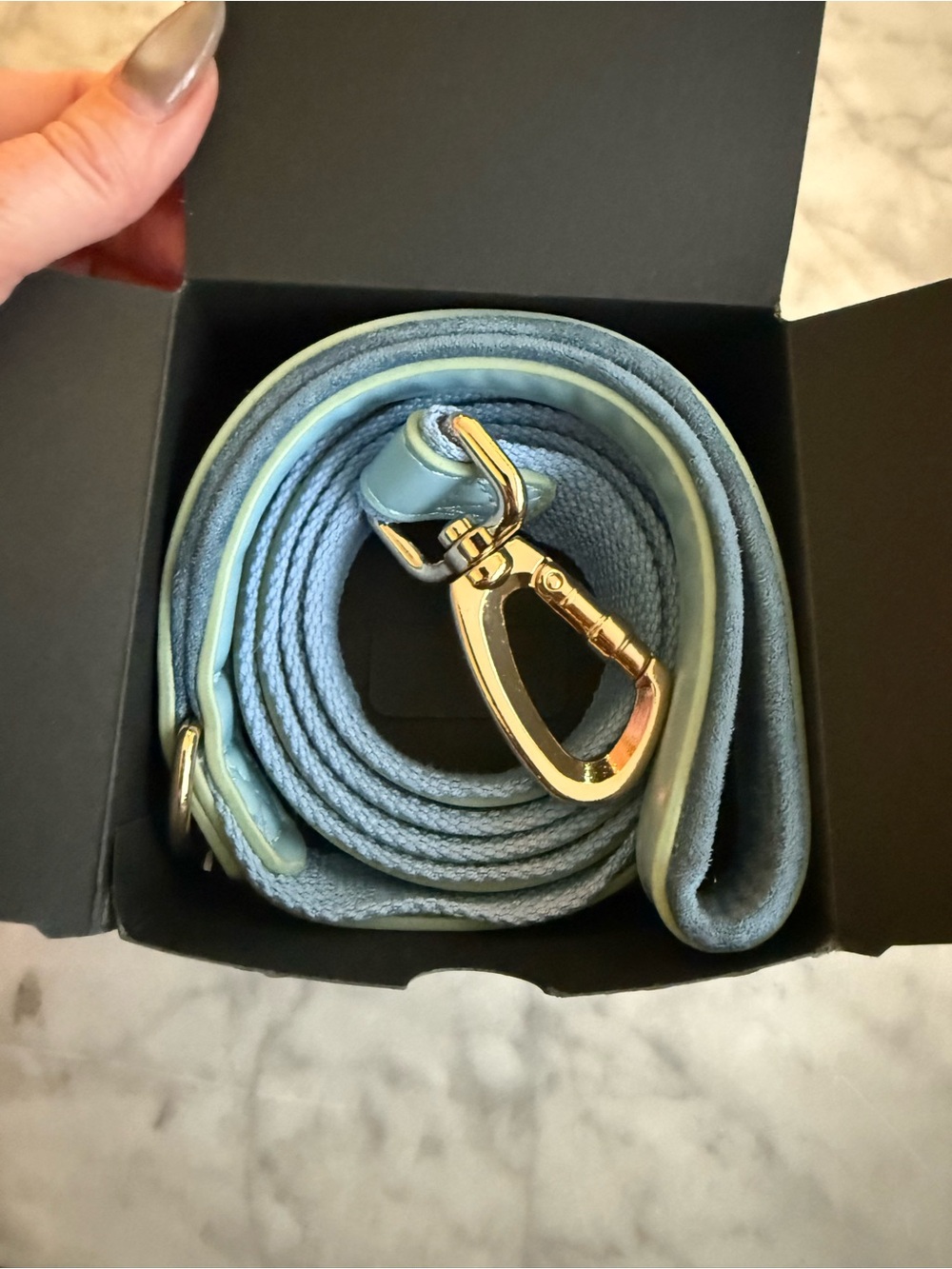 NEW Chonk Luxury Pet Leash Blue Gold 60” Dog Leash Matching Harness